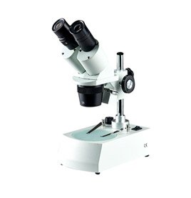 Stereozoom Microscopes