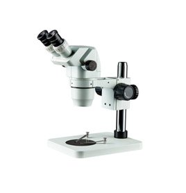 Stereozoom Microscopes