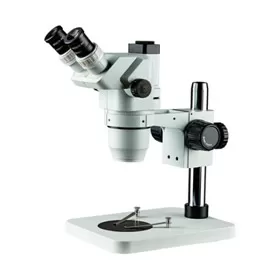 Stereozoom Microscopes