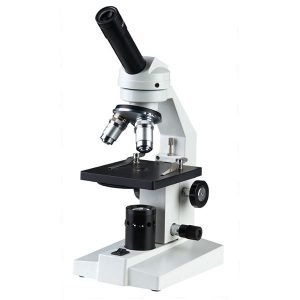 Stereozoom Microscopes