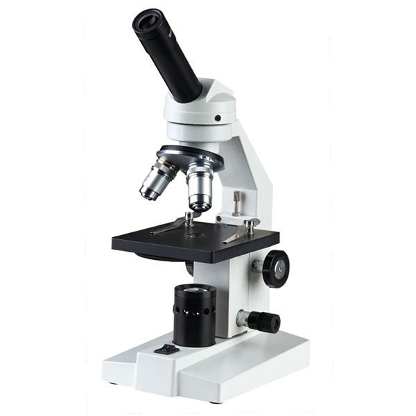 Stereozoom Microscopes
