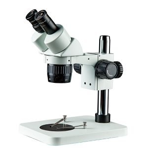 Stereozoom Microscopes