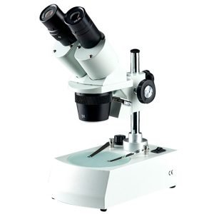 Stereozoom Microscopes