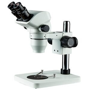 Stereozoom Microscopes