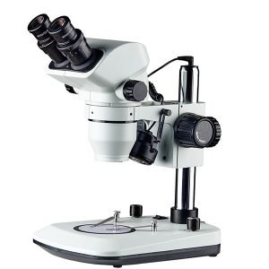 Stereozoom Microscopes
