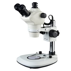 Stereozoom Microscopes