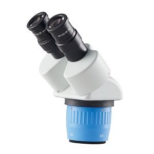 Microscope Heads | T6024NH