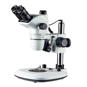 Stereozoom Microscopes