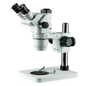 Stereozoom Microscopes