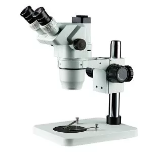 Stereozoom Microscopes