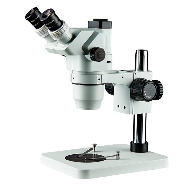 Stereozoom Microscopes