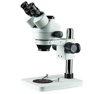 Stereozoom Microscopes