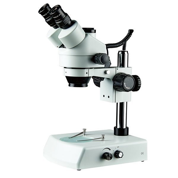 Stereozoom Microscopes