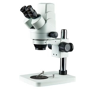 Stereozoom Microscopes