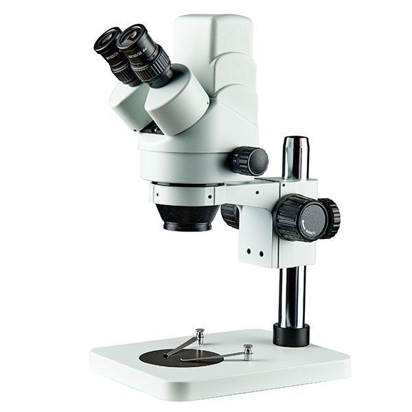 Stereozoom Microscopes