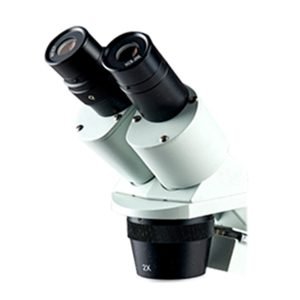 Microscope Heads | T-3024H