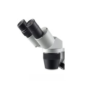 Microscope Heads | T-4024H