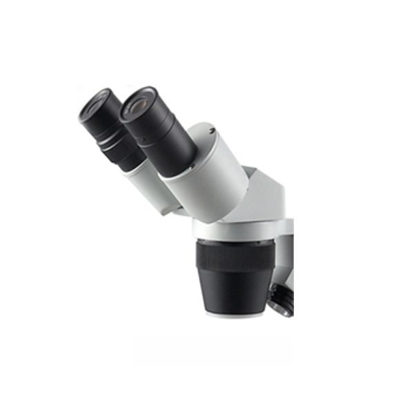 Microscope Heads | T-4024H
