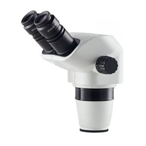 Microscope Heads | T7024H