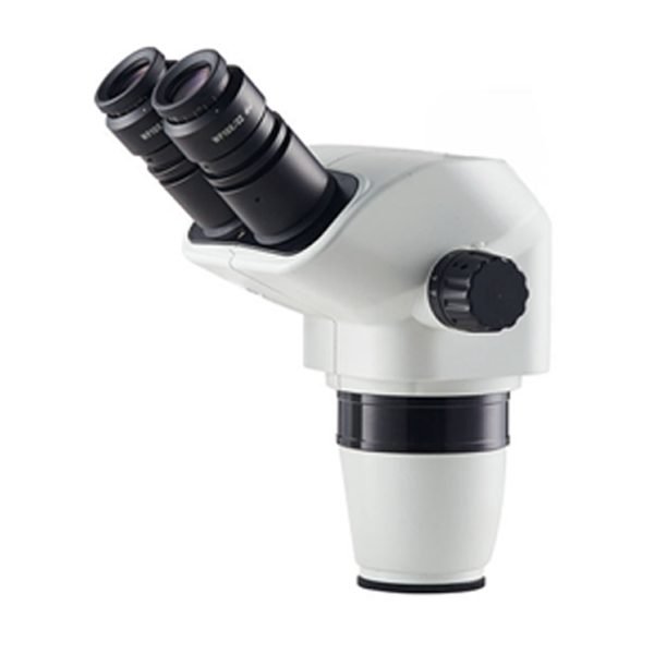 Microscope Heads | T7024H