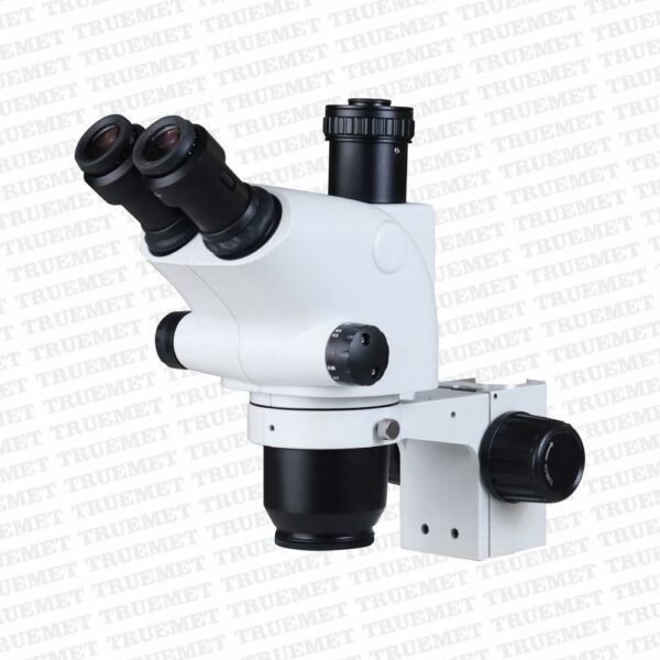 Stereozoom Microscopes