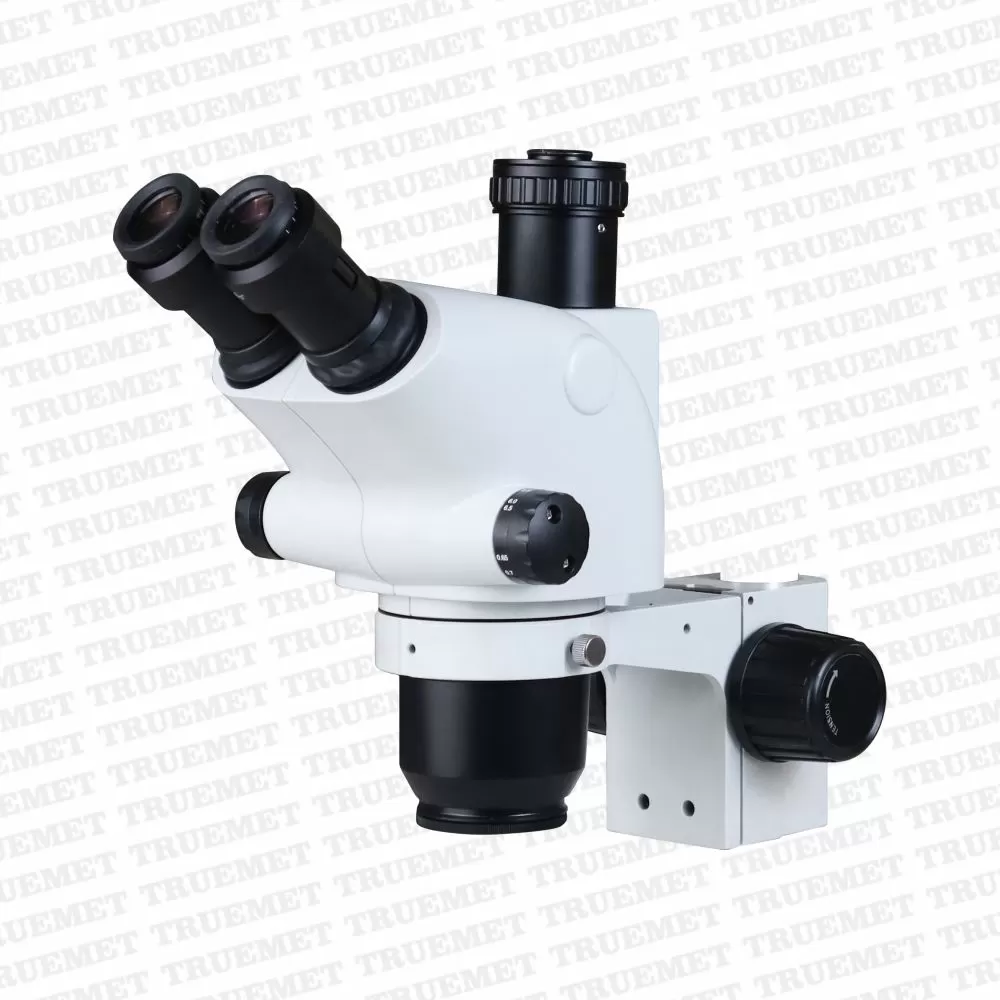 Stereozoom Microscopes